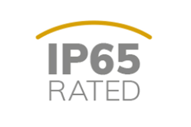 IP 65